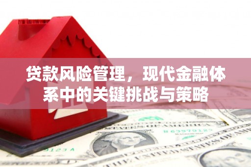 昭化贷款风险管理，现代金融体系中的关键挑战与策略