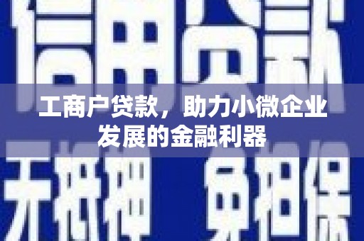 昭化工商户贷款，助力小微企业发展的金融利器
