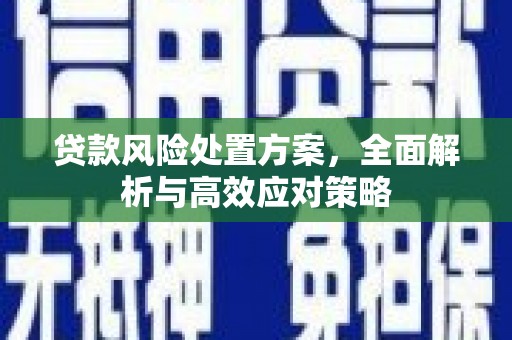 昭化贷款风险处置方案，全面解析与高效应对策略