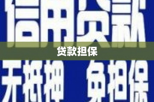 昭化贷款担保