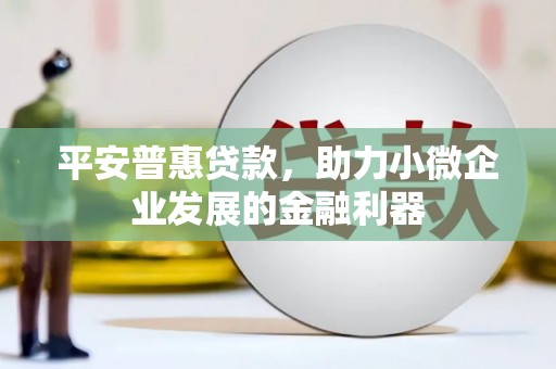昭化平安普惠贷款，助力小微企业发展的金融利器