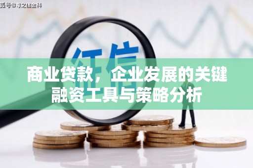 昭化商业贷款，企业发展的关键融资工具与策略分析