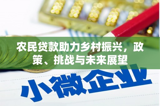 昭化农民贷款助力乡村振兴，政策、挑战与未来展望