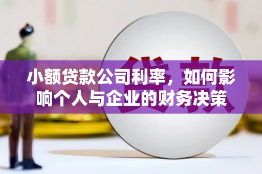 昭化小额贷款公司利率，如何影响个人与企业的财务决策