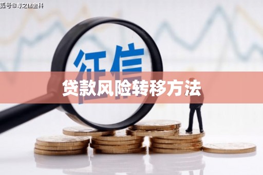 昭化贷款风险转移方法