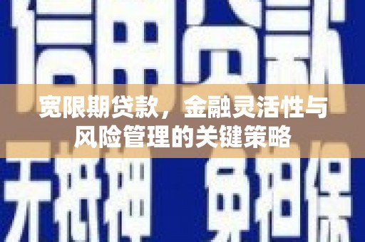 昭化宽限期贷款，金融灵活性与风险管理的关键策略