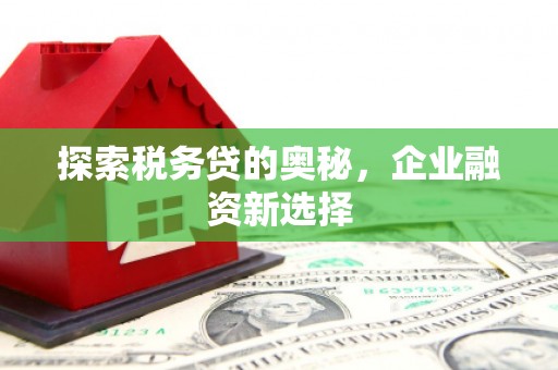 昭化探索税务贷的奥秘，企业融资新选择