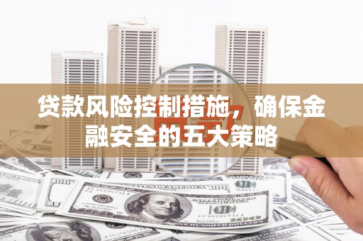 昭化贷款风险控制措施，确保金融安全的五大策略