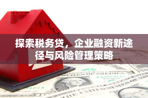 昭化探索税务贷，企业融资新途径与风险管理策略