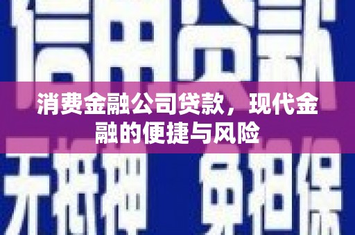 昭化消费金融公司贷款，现代金融的便捷与风险
