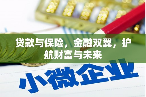 昭化贷款与保险，金融双翼，护航财富与未来