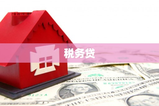 昭化税务贷