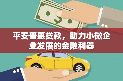 昭化平安普惠贷款，助力小微企业发展的金融利器