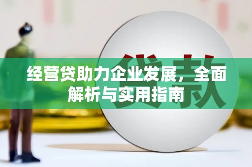 昭化经营贷助力企业发展，全面解析与实用指南