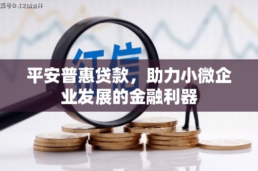 昭化平安普惠贷款，助力小微企业发展的金融利器