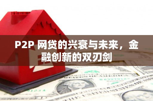 昭化P2P 网贷的兴衰与未来，金融创新的双刃剑