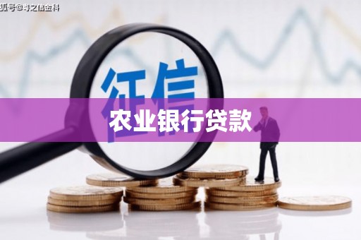 昭化农业银行贷款