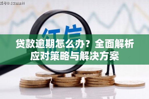 昭化贷款逾期怎么办？全面解析应对策略与解决方案