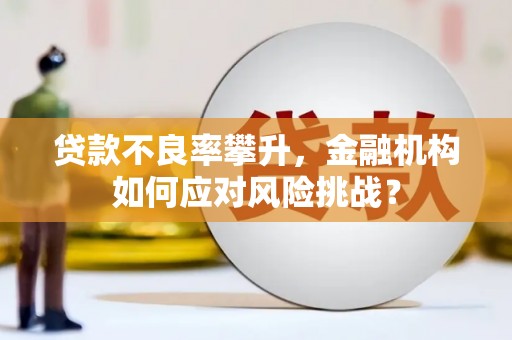 昭化贷款不良率攀升，金融机构如何应对风险挑战？