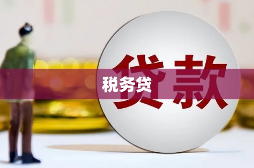 昭化税务贷