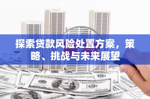 昭化探索贷款风险处置方案，策略、挑战与未来展望