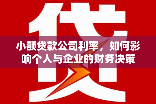 昭化小额贷款公司利率，如何影响个人与企业的财务决策