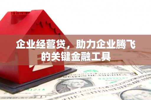 昭化企业经营贷，助力企业腾飞的关键金融工具
