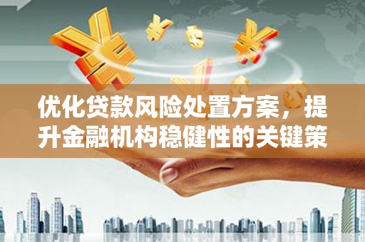 昭化优化贷款风险处置方案，提升金融机构稳健性的关键策略