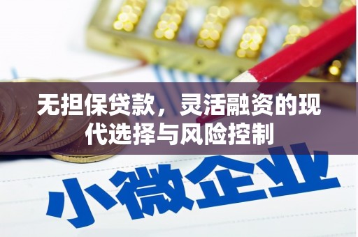 昭化无担保贷款，灵活融资的现代选择与风险控制