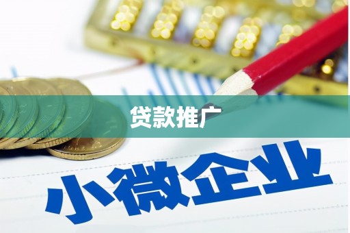 昭化贷款推广