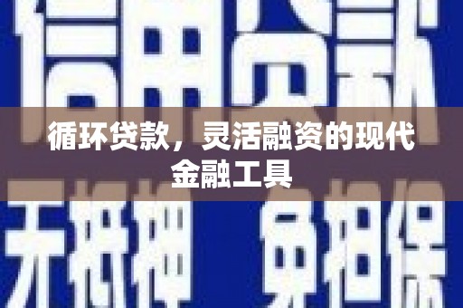 昭化循环贷款，灵活融资的现代金融工具