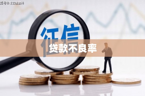 昭化贷款不良率