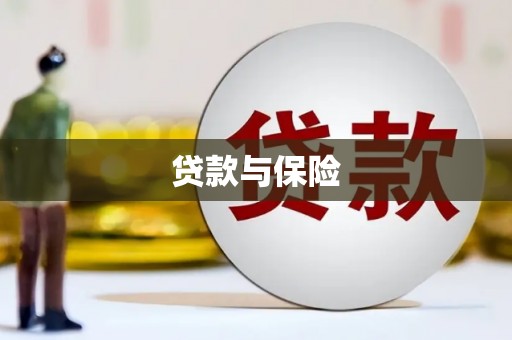 昭化贷款与保险
