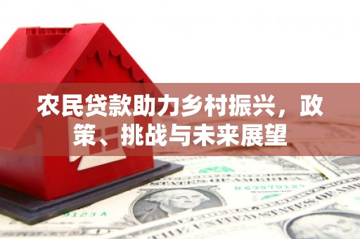 昭化农民贷款助力乡村振兴，政策、挑战与未来展望
