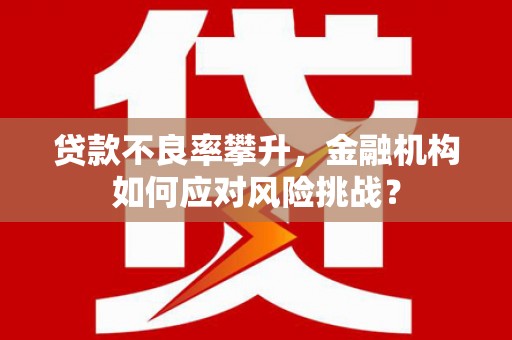 昭化贷款不良率攀升，金融机构如何应对风险挑战？