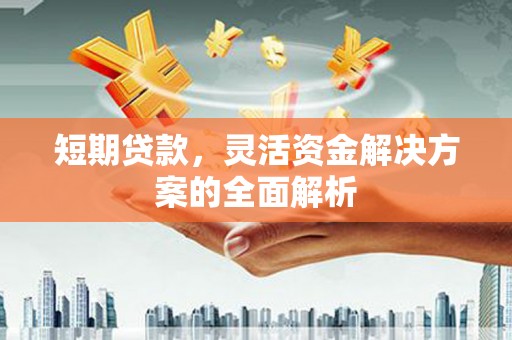 昭化短期贷款，灵活资金解决方案的全面解析