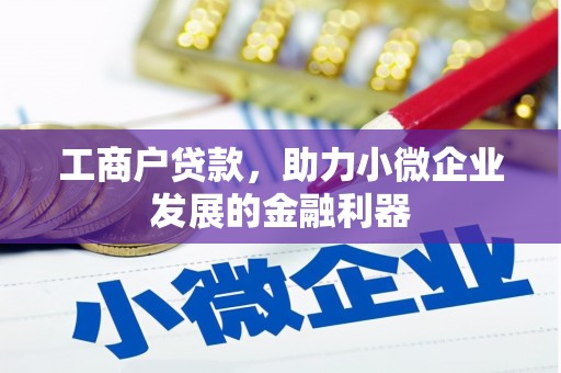 昭化工商户贷款，助力小微企业发展的金融利器