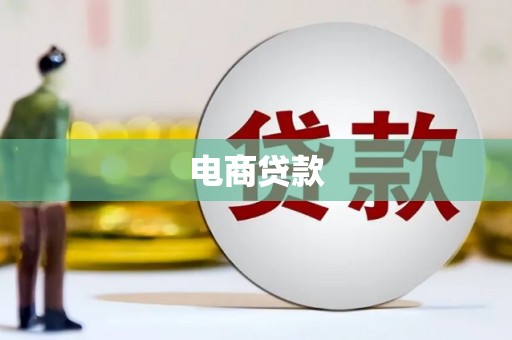 昭化电商贷款