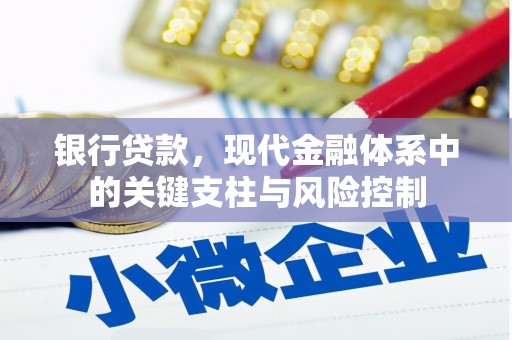 昭化银行贷款，现代金融体系中的关键支柱与风险控制