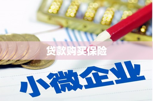 昭化贷款购买保险