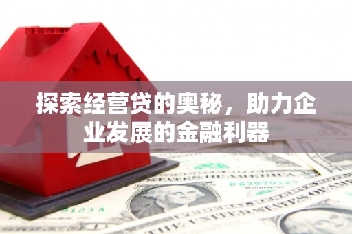 昭化探索经营贷的奥秘，助力企业发展的金融利器
