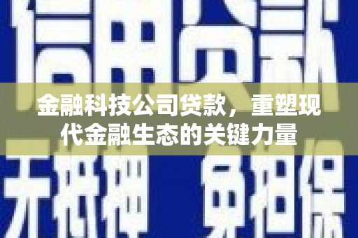 昭化金融科技公司贷款，重塑现代金融生态的关键力量