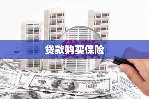 昭化贷款购买保险