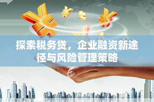 昭化探索税务贷，企业融资新途径与风险管理策略