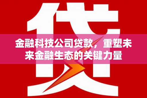 昭化金融科技公司贷款，重塑未来金融生态的关键力量