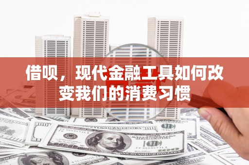 昭化借呗，现代金融工具如何改变我们的消费习惯