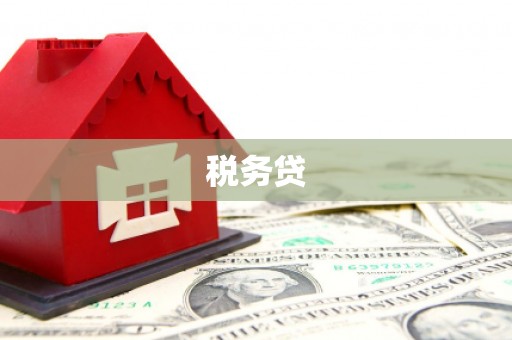 昭化税务贷