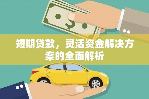 昭化短期贷款，灵活资金解决方案的全面解析