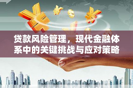 昭化贷款风险管理，现代金融体系中的关键挑战与应对策略