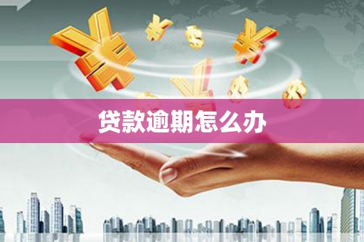 昭化贷款逾期怎么办